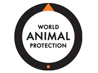 World animal Protection