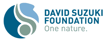 David Suzuki Foundation – Eco-Radical Organizations