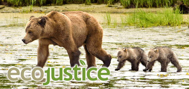 Ecojustice