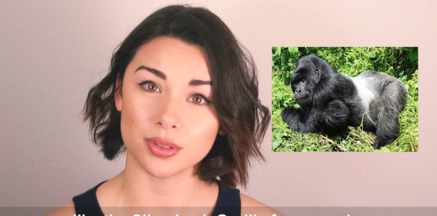 World Wildlife Fund March 2017